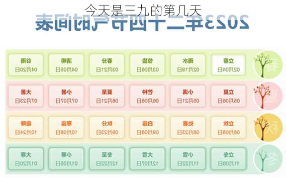 今天是三九的第几天