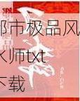 都市极品风水师txt下载