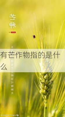 有芒作物指的是什么