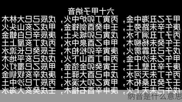 纳音是什么意思