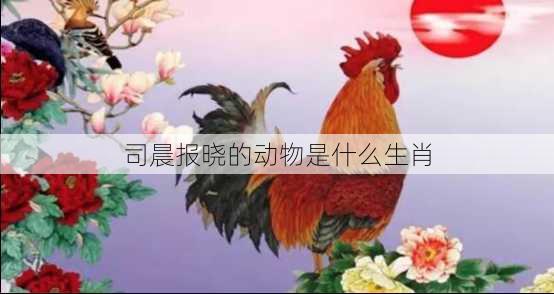 司晨报晓的动物是什么生肖