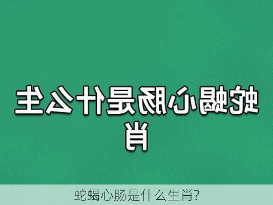 蛇蝎心肠是什么生肖?