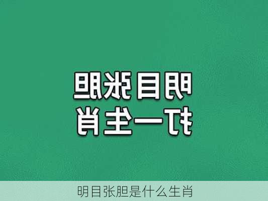 明目张胆是什么生肖