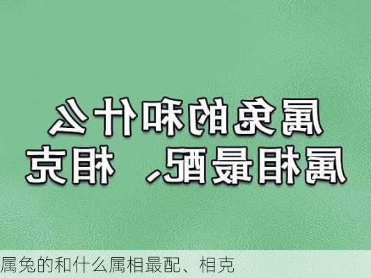 属兔的和什么属相最配、相克