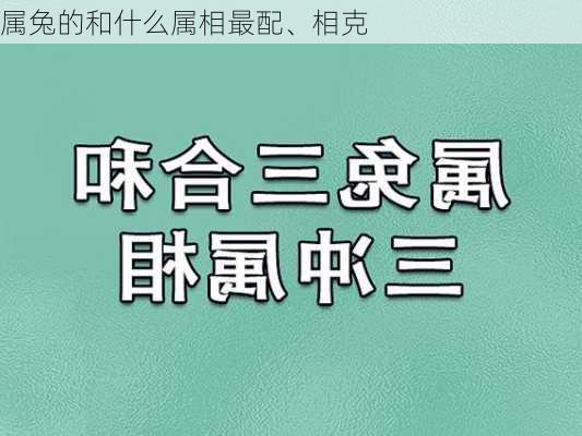 属兔的和什么属相最配、相克