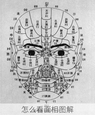 怎么看面相图解