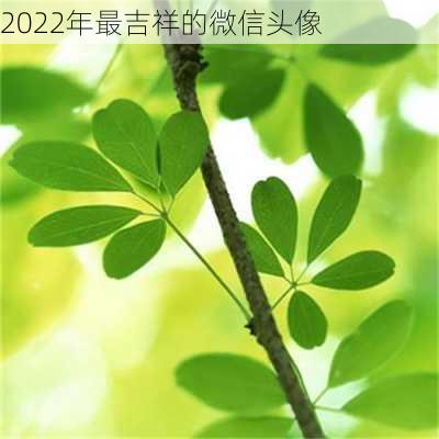 2022年最吉祥的微信头像