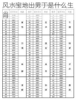 风水宝地出男丁是什么生肖