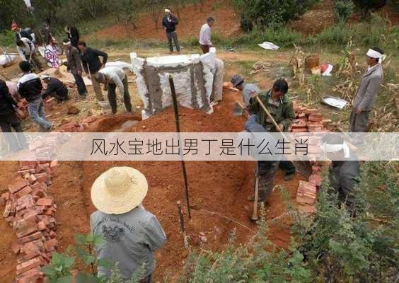 风水宝地出男丁是什么生肖