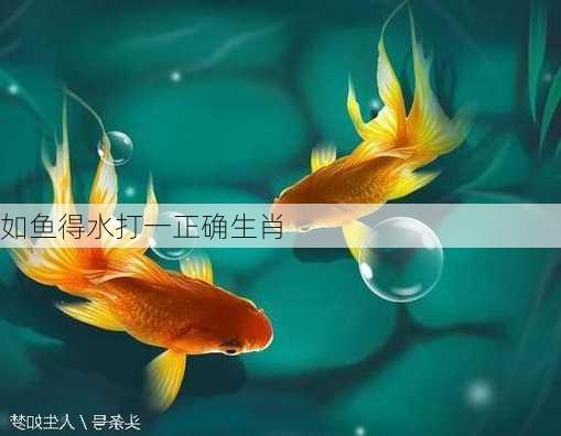 如鱼得水打一正确生肖