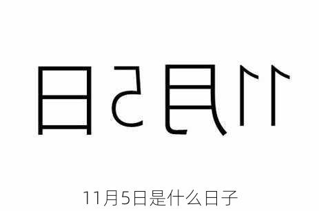 11月5日是什么日子