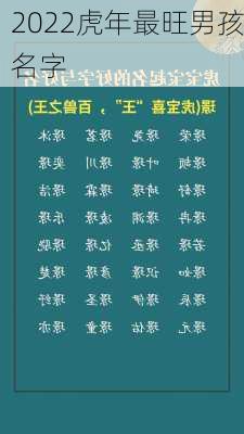 2022虎年最旺男孩名字