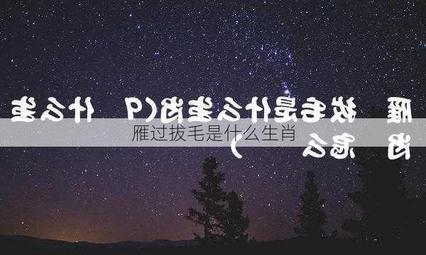 雁过拔毛是什么生肖