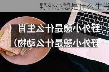 野外小憩是什么生肖