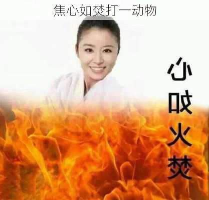 焦心如焚打一动物