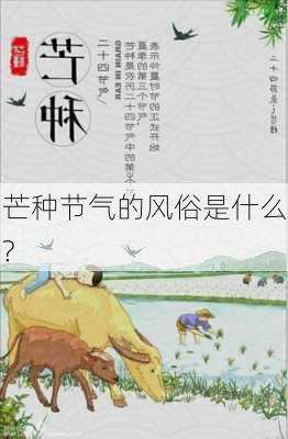 芒种节气的风俗是什么?