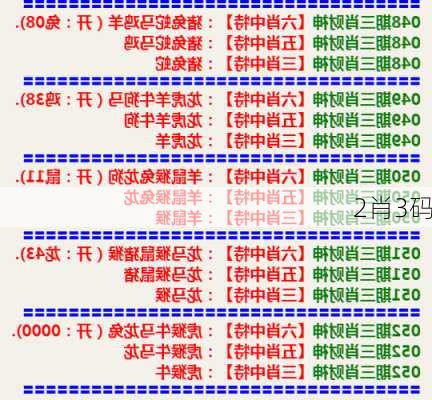 2肖3码