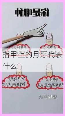 指甲上的月牙代表什么