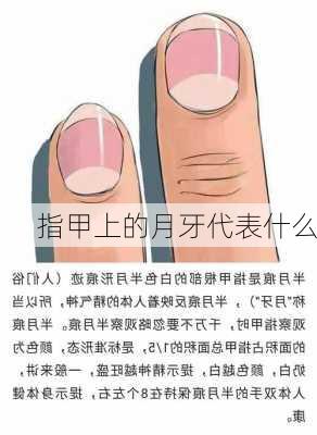 指甲上的月牙代表什么