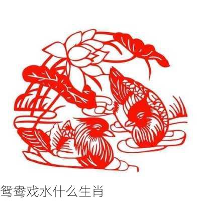 鸳鸯戏水什么生肖