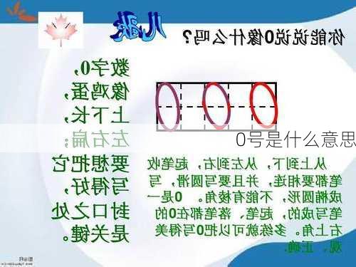 0号是什么意思