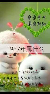 1987年属什么