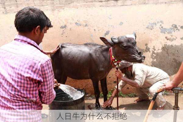 人日牛为什么不拒绝