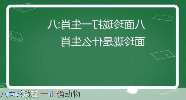 八面玲珑打一正确动物