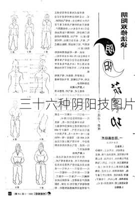 三十六种阴阳技图片