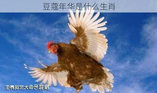 豆蔻年华是什么生肖