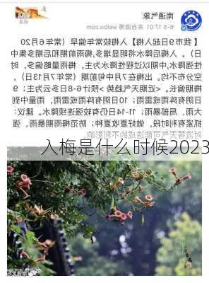 入梅是什么时候2023