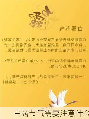 白露节气需要注意什么