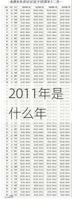 2011年是什么年