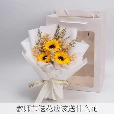 教师节送花应该送什么花