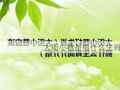 大街小巷是指什么生肖