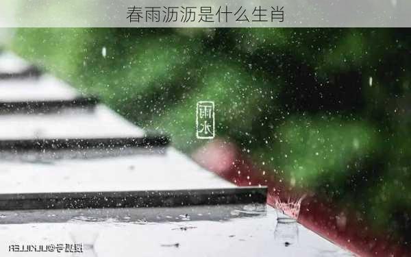 春雨沥沥是什么生肖