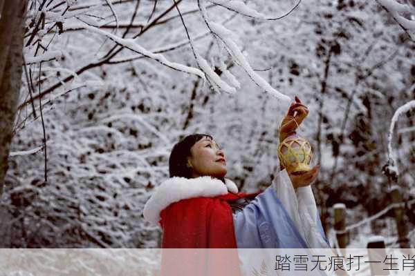 踏雪无痕打一生肖