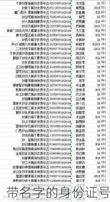 带名字的身份证号
