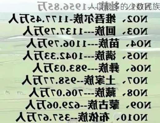 人口最多的少数民族