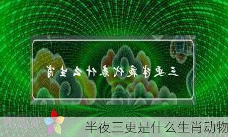 半夜三更是什么生肖动物